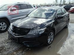 أكورا TLX